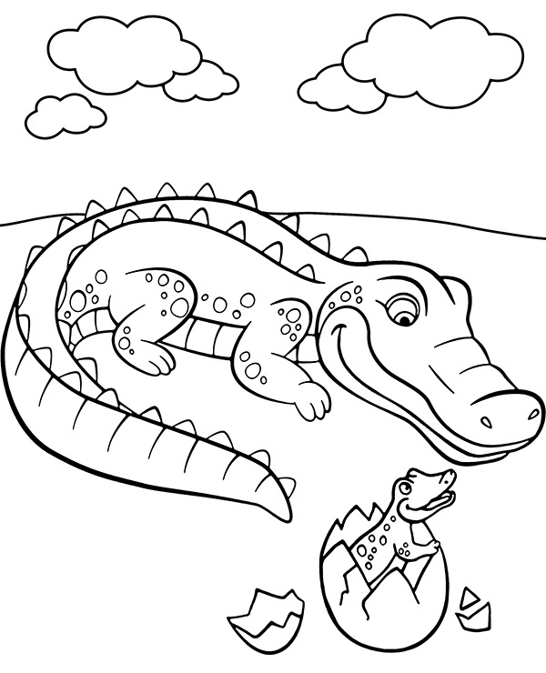 Alligators coloring pages animals