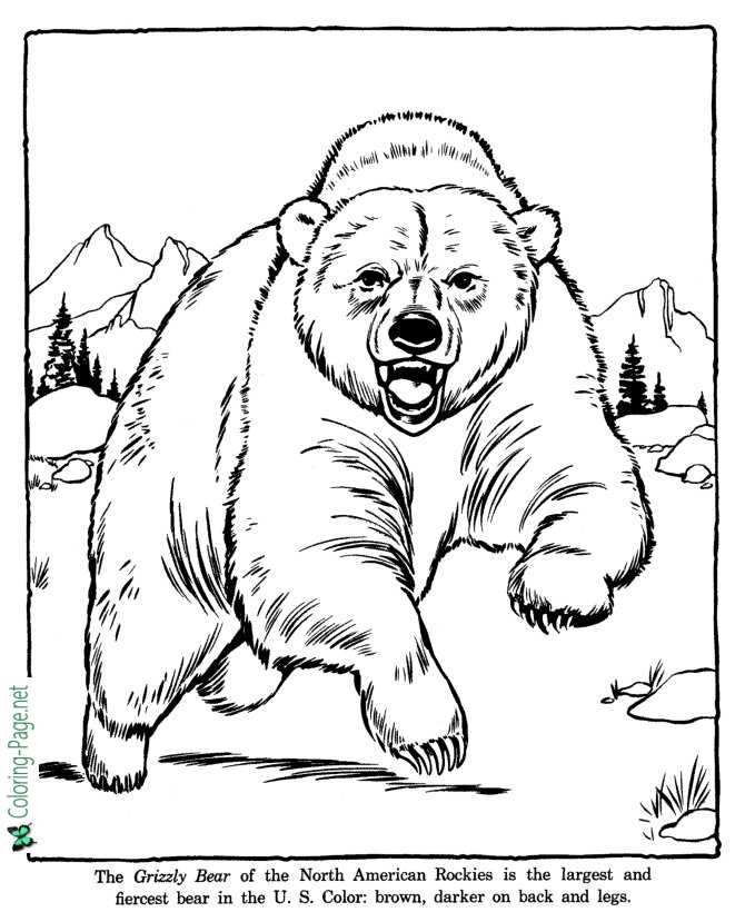 Zoo coloring pages