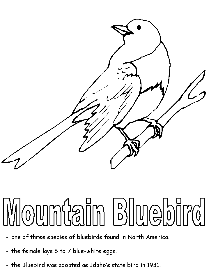 Coloring page