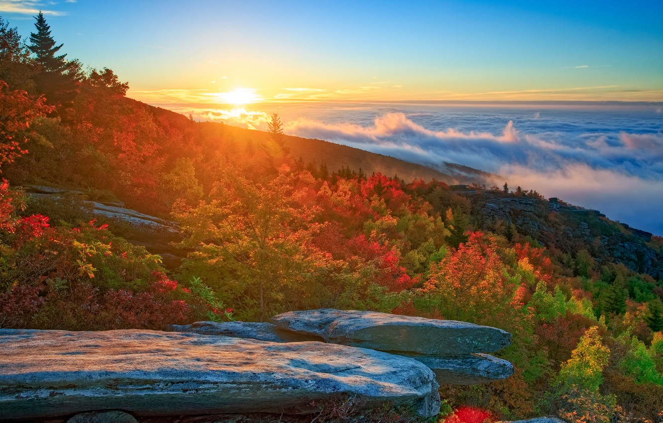 Wallpaper autumn forest clouds trees mountains sunrise dawn north carolina north carolina images for desktop section ððµðð