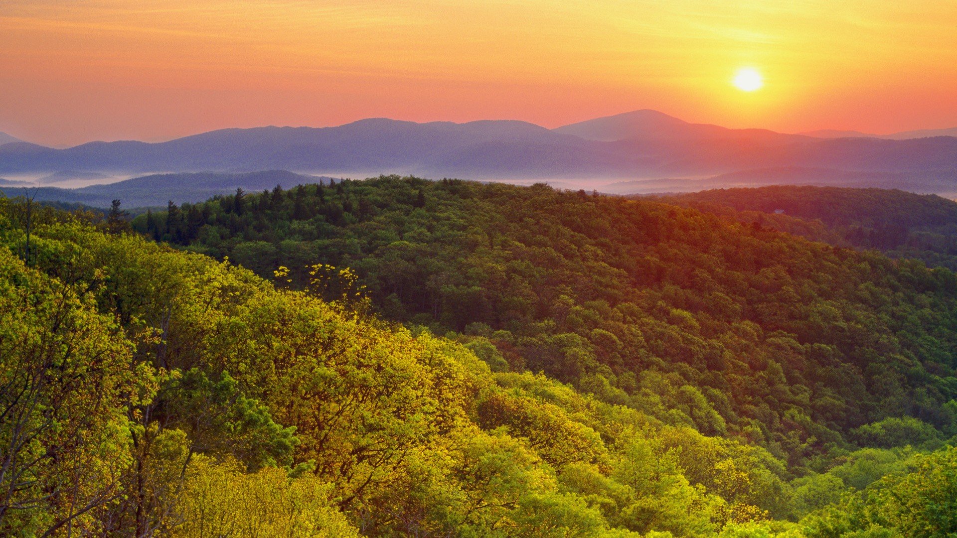 Sunrise mountains landscapes forests valleys wilson north carolina wallpapers hd desktop and mobile backgrounds