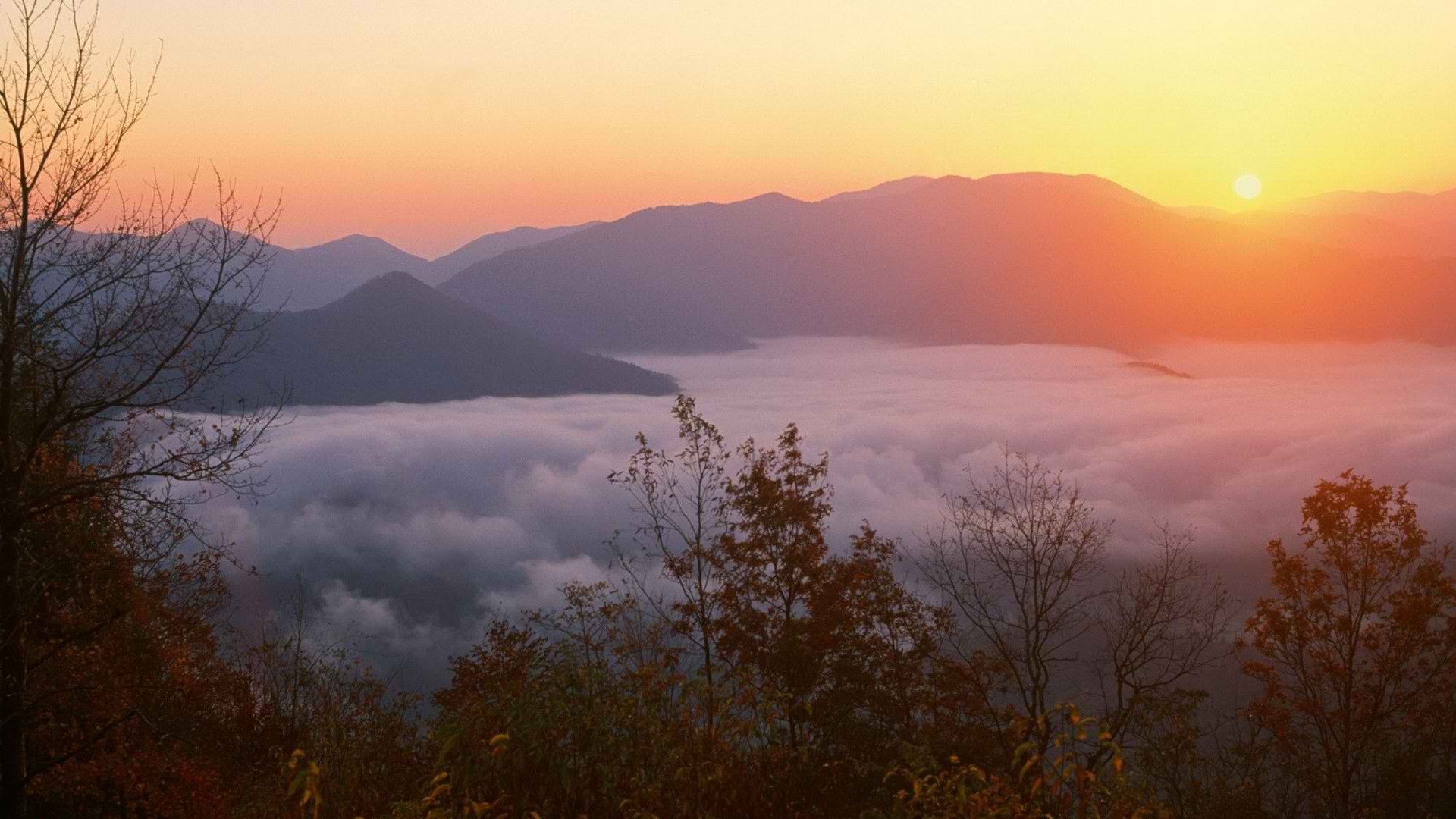 Sunrise mountains forests memorial joyce north carolina wallpapers hd desktop and mobile backgrounds