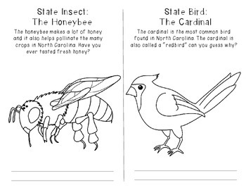 North carolina state symbols coloring book by resources to the rescue