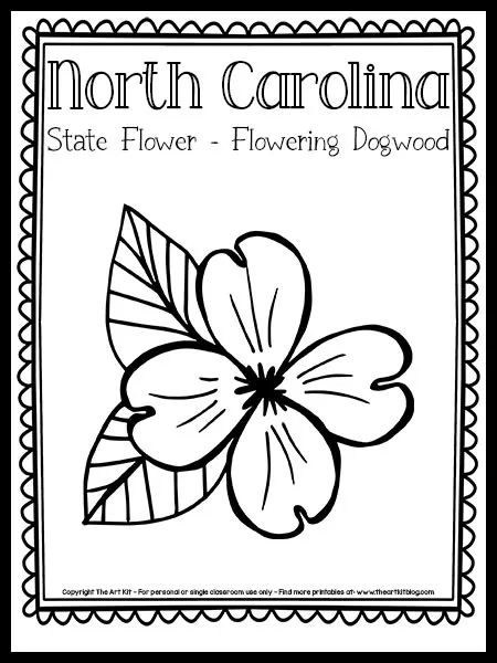 North carolina state flower coloring page flowering dogwood free printable â the art kit