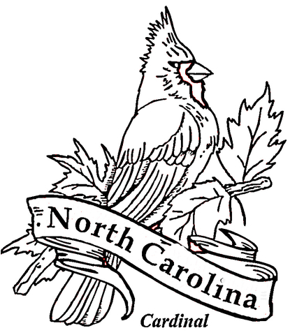 Cardinal bird of north carolina coloring page free printable coloring pages