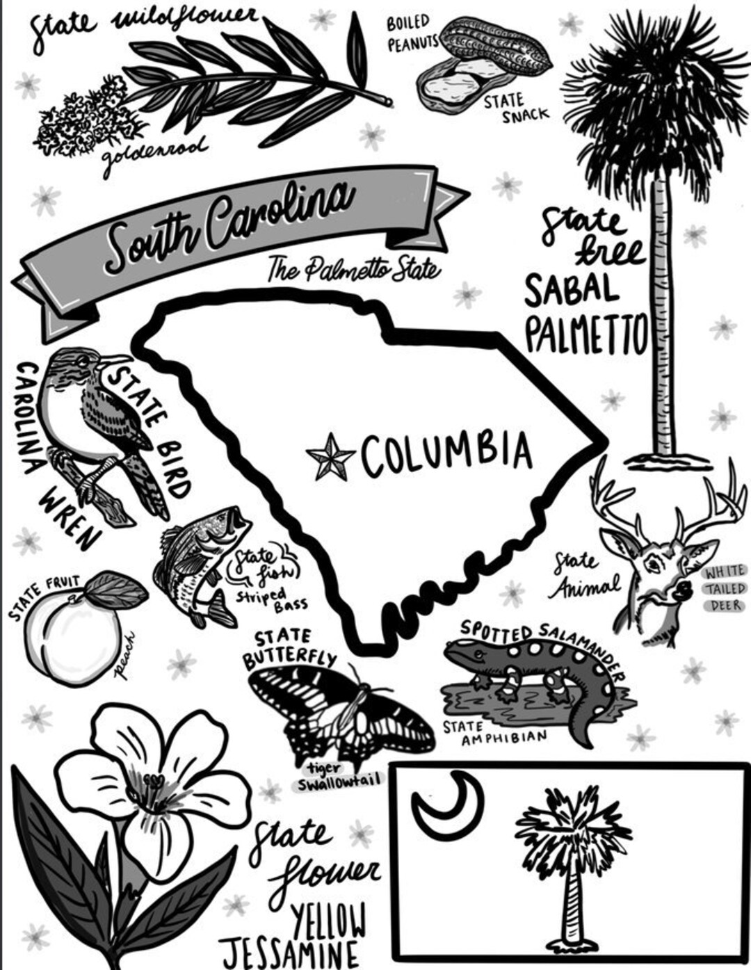 South carolina coloring page download now