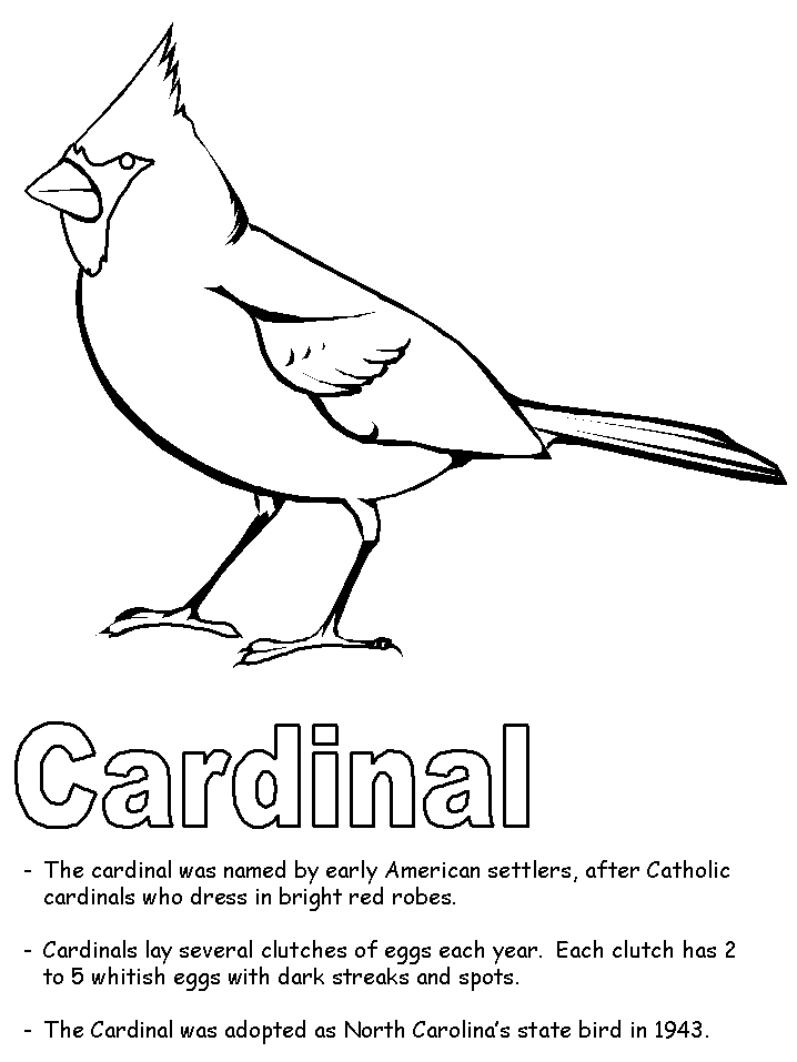 Cardinal coloring page