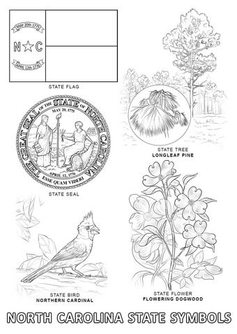 North carolina state symbols coloring page state symbols flag coloring pages coloring pages