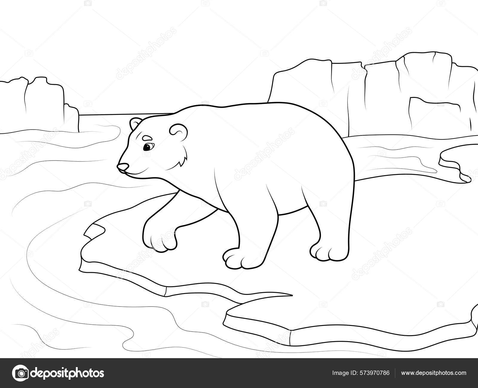 Polar bear north pole wild animal zoo page outline cartoon stock illustration by toricheksgmail