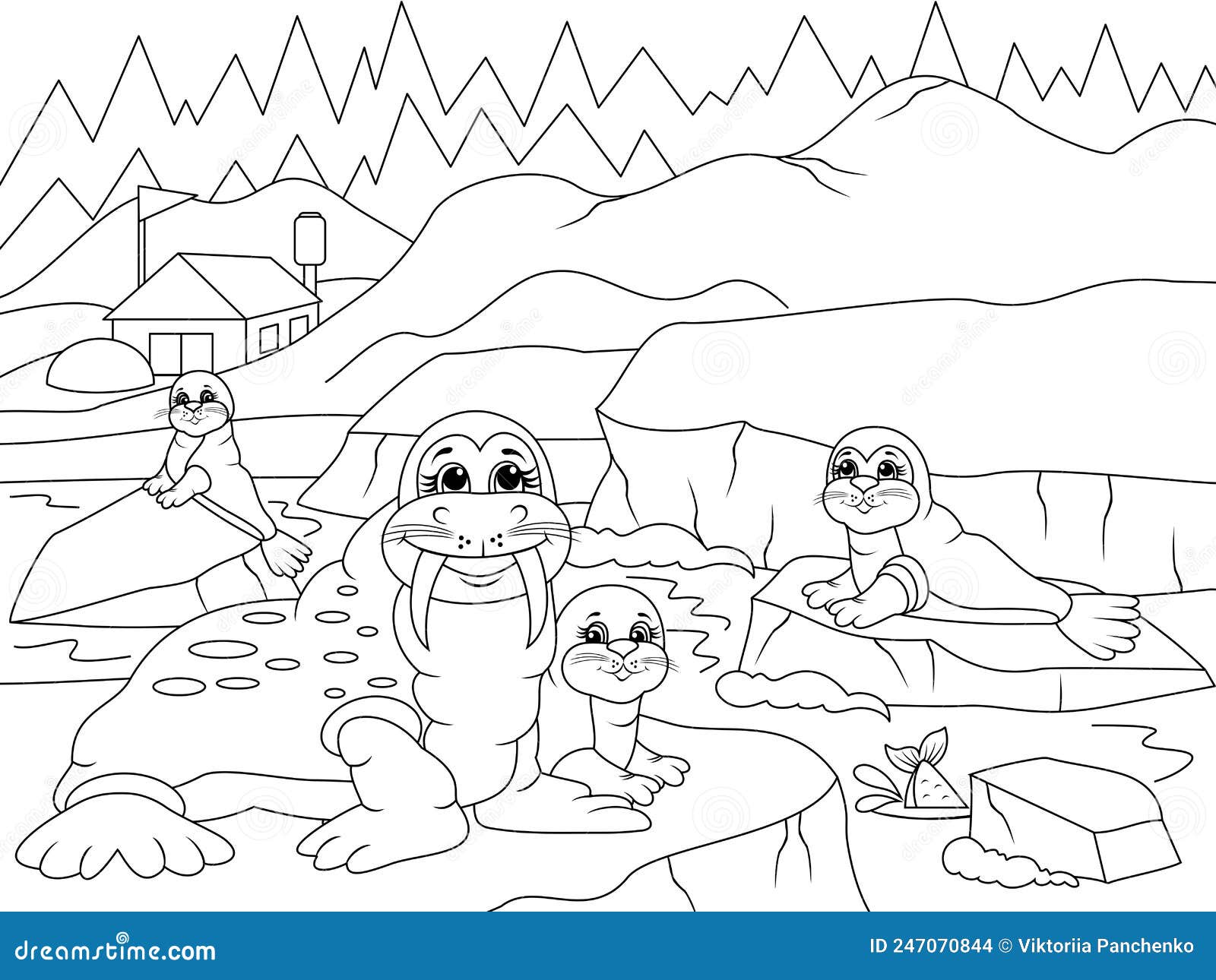 A family of walrus at the north pole mom and child landscape coloring book stock vector