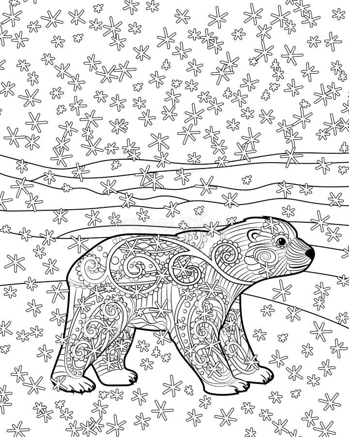 Polar bear colouring stock illustrations â polar bear colouring stock illustrations vectors clipart