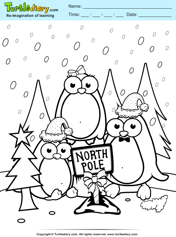 North pole coloring sheet turtle diary