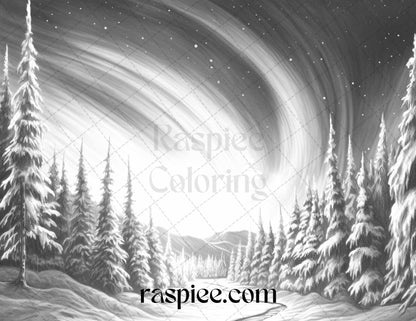 Aurora borealis landscape grayscale coloring pages for adults printab â coloring