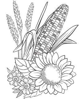 Thanksgiving usa free coloring pages