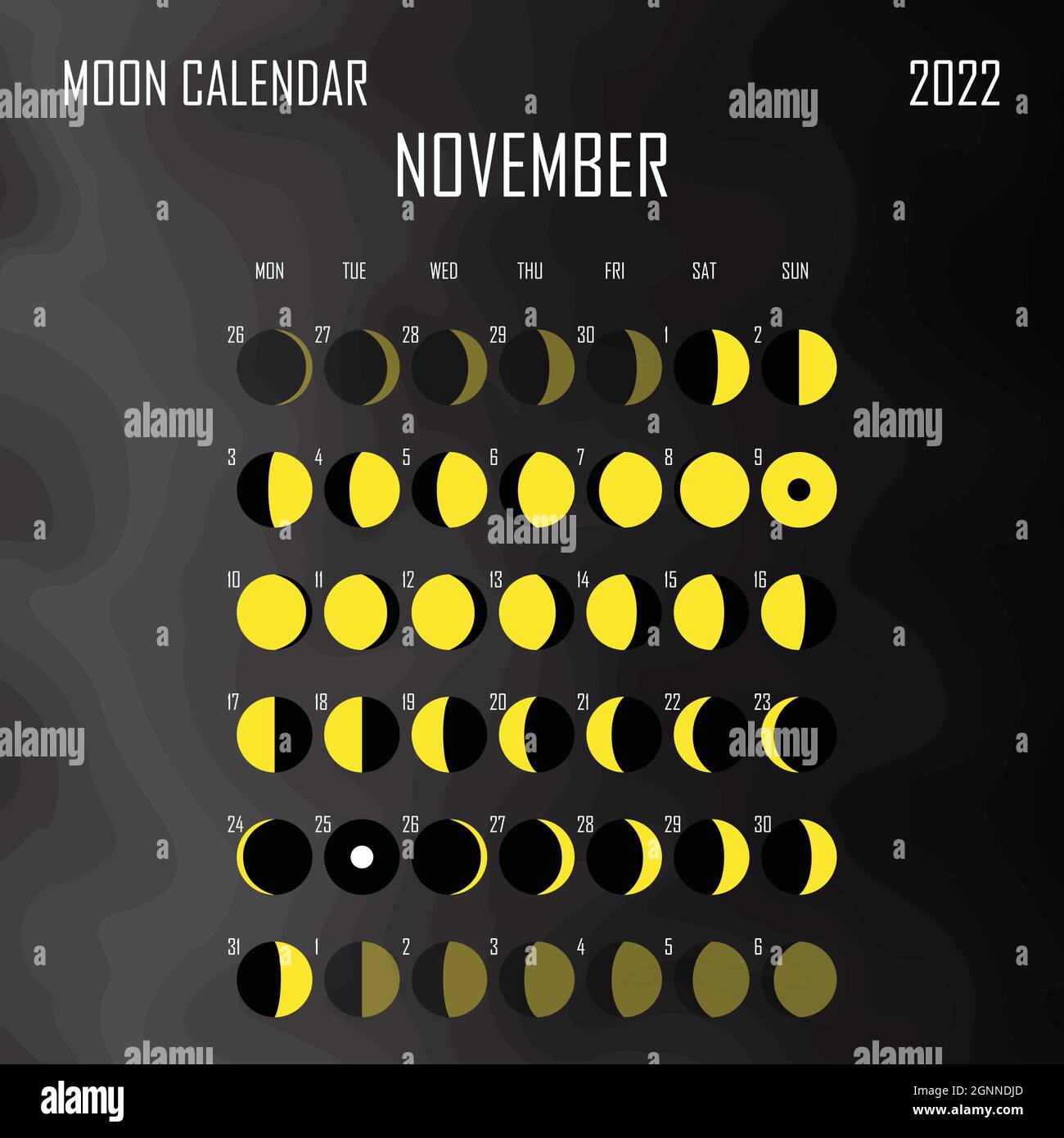 November moon calendar astrological calendar design planner place for stickers month cycle planner mockup isolated black and white stock vector image art