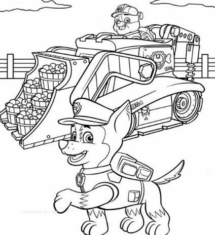 Paw patrol coloring pages rubble in paw patrol coloring paw patrol coloring pages coloring book pages