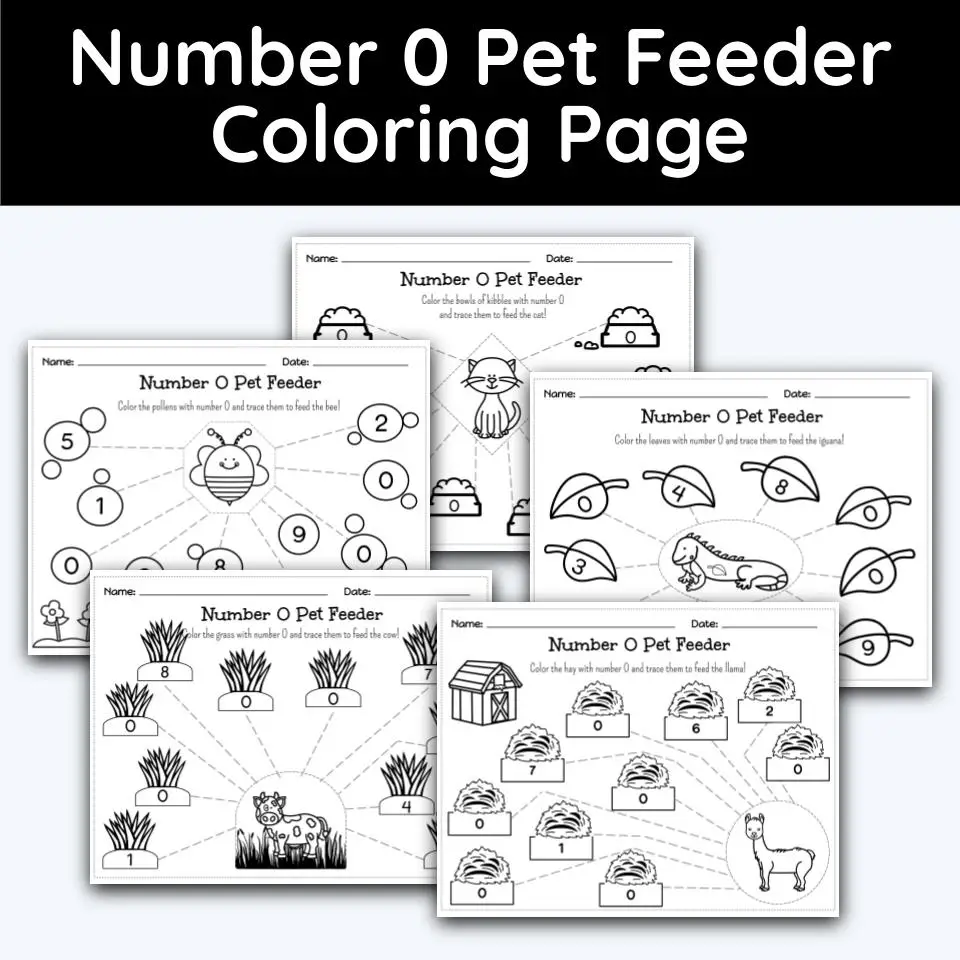 Number pet feeder coloring page