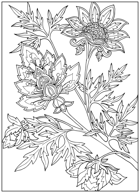 Set of decorative flowers coloring pages â the nature bin