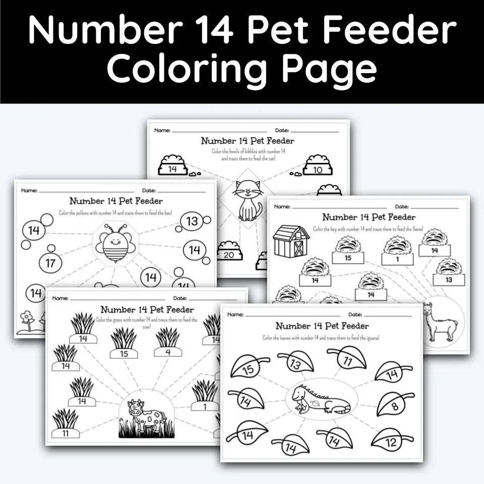 Number pet feeder coloring page