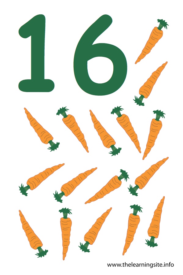 Number sixteen flashcard â carrots â the learning site