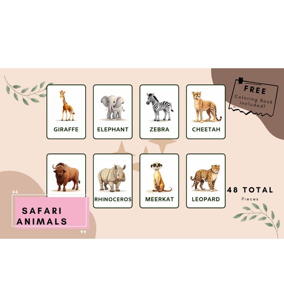 Safari animal flashcards animals educational preschool toys kids pieces free coloring book toddler cards pdf