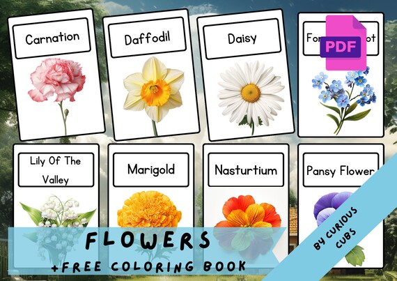 Flowers printable flashcards teaching learning resourcesteaching activities flowers home educationmontessori flash cards