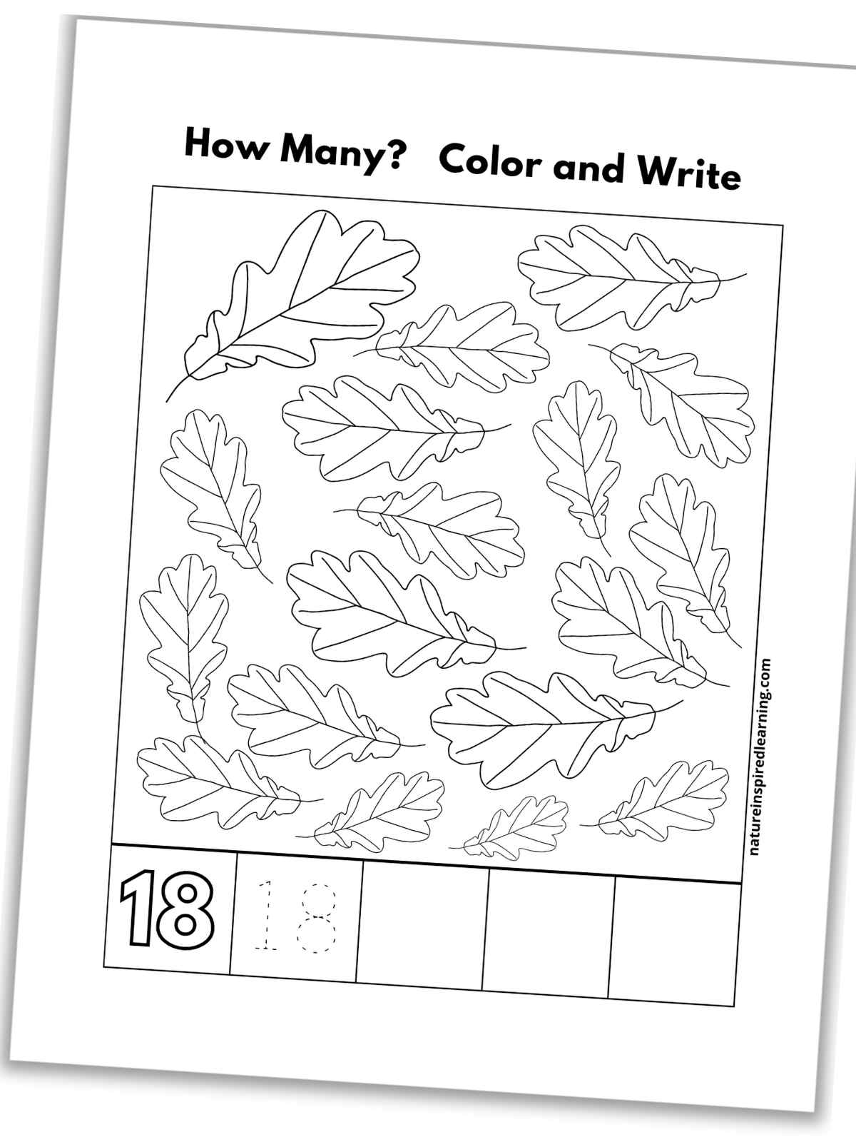 Number recognition worksheets