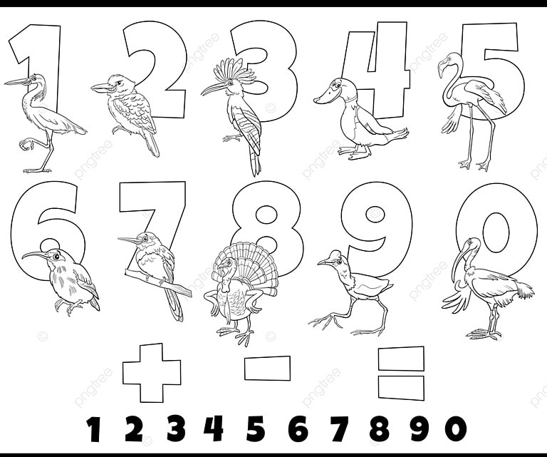 Black and white cartoon illustration of educational numbers set from one to nine with birds animal characters coloring page template download on