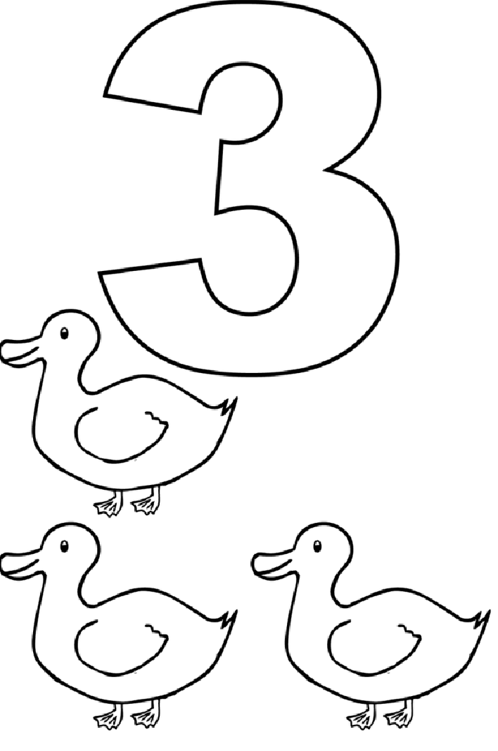 Number coloring pages