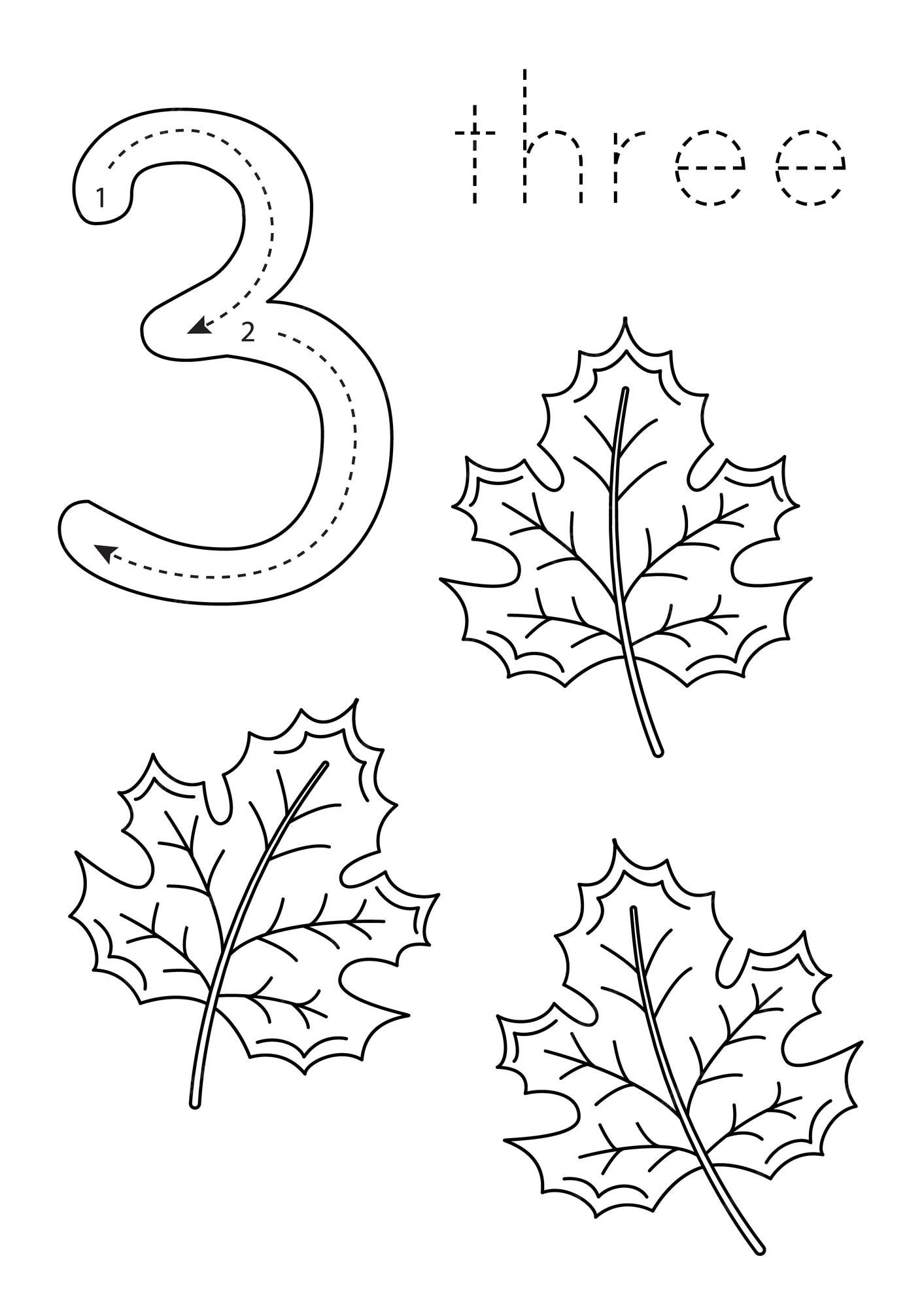 Premium vector flashcard number preschool worksheet black and white maple leaves