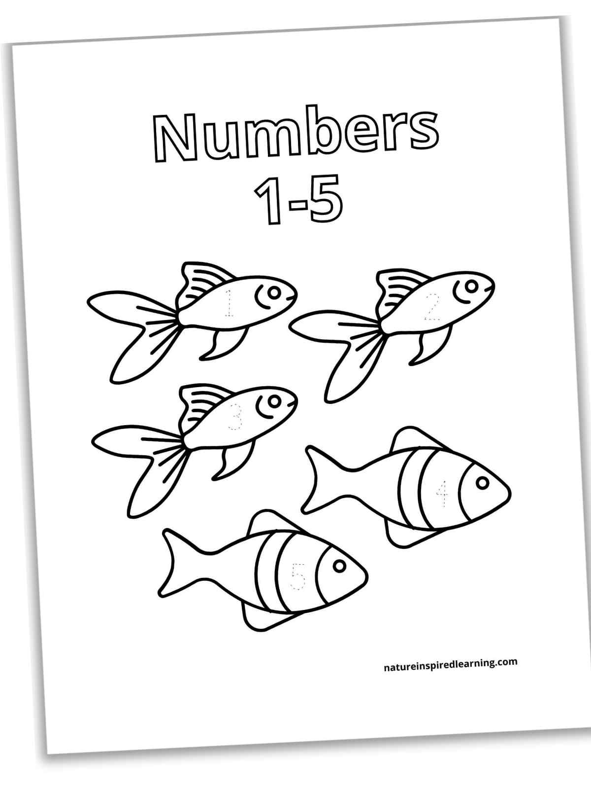 Tracing numbers