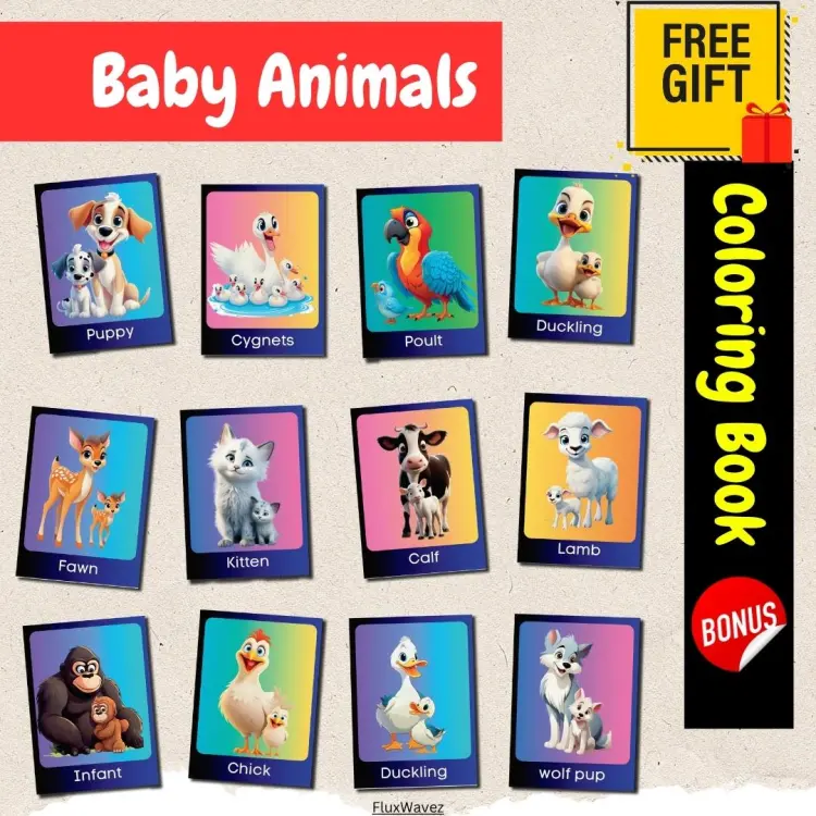 Flash cards adorable baby animal kids editable flash cards