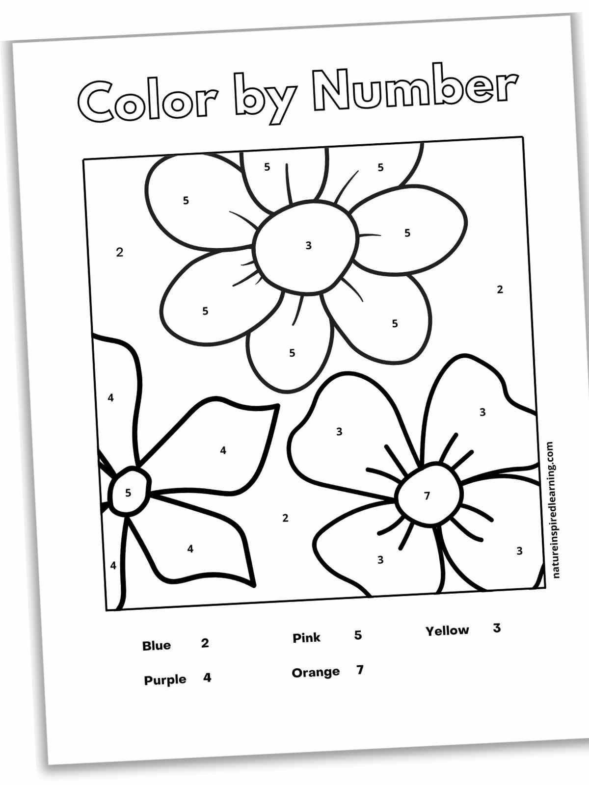 Flower color by number