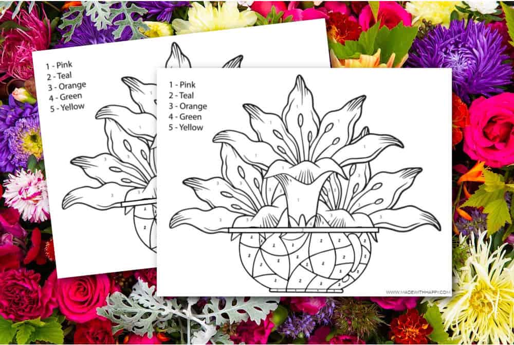 Free color by number flowers