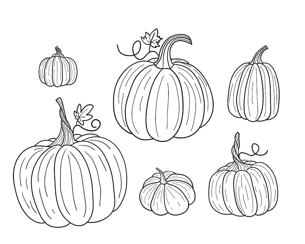 Pumpkin coloring pages free fun printable coloring pages of pumpkins that celebrate fall printables mom