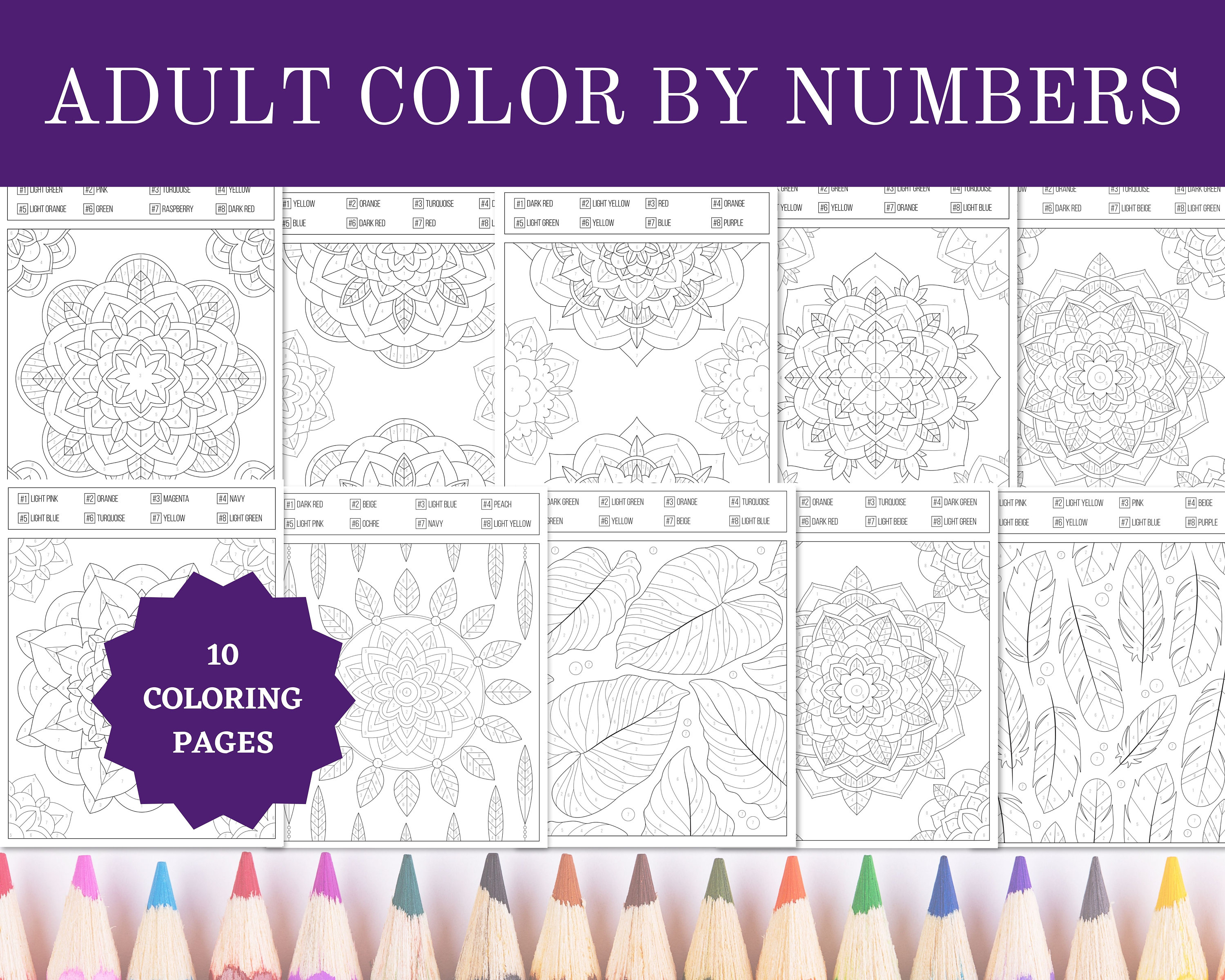 Printable adult color by numbers coloring pages x sheets digital instant pdf download