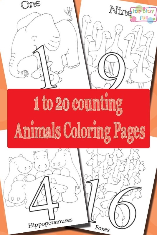 Little bunny to african animals coloring pages