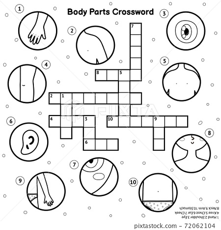 Black and white body parts crossword my body