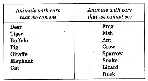 Ncert solutions for class evs chapter ear to ear