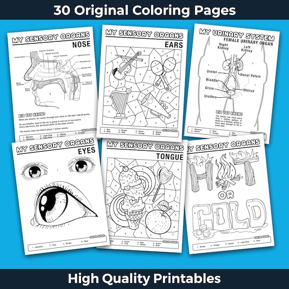 Human body color by numbers human body coloring book anatomy coloring pages activity printable book for kids instant download worksheets