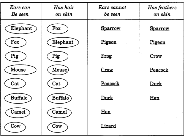 Ncert solutions for class evs chapter ear to ear