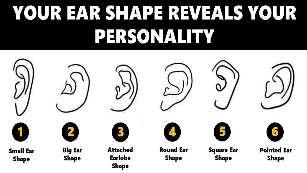 Ear shape personality test your ears reveal your true personality traits