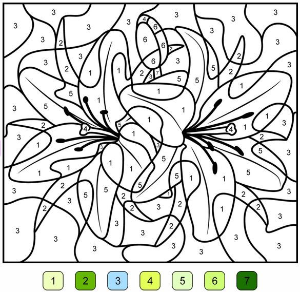 Pintar per nãºmeros flower coloring pages flower drawing coloring pages