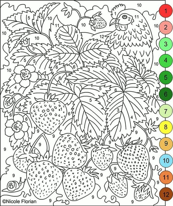 Dibujos para colorear por nãºmero