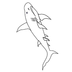 Top shark coloring pages for your little ones