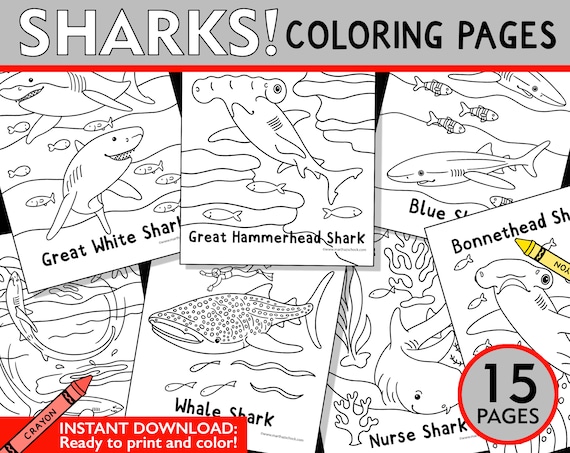 Shark coloring pages shark coloring sheets shark week coloring pages shark week activity for kids shark printable instant download