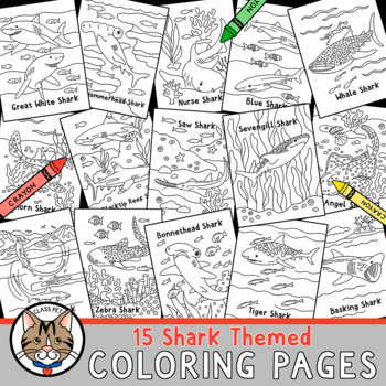 Shark coloring pages by class pet tpt