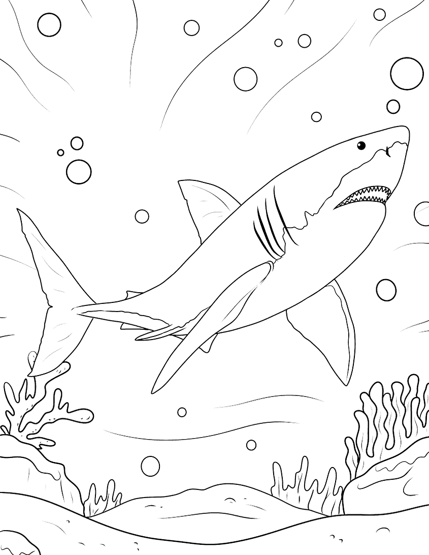 Shark coloring pages