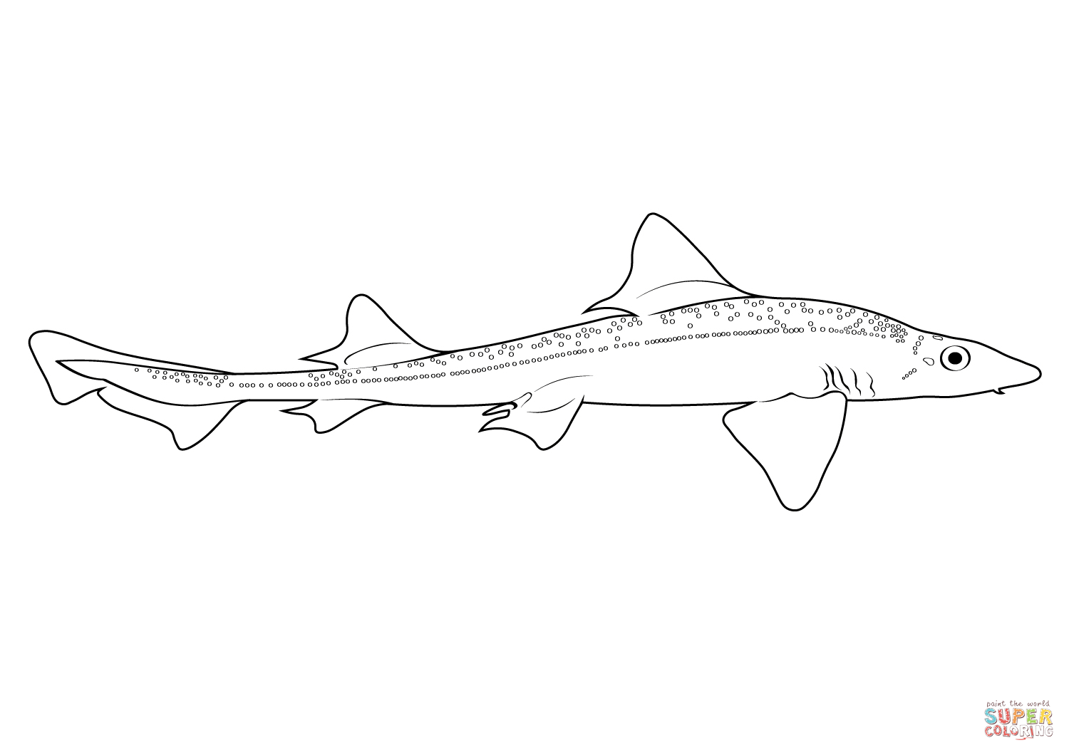 Gummy shark mustelus antarcticus coloring page free printable coloring pages