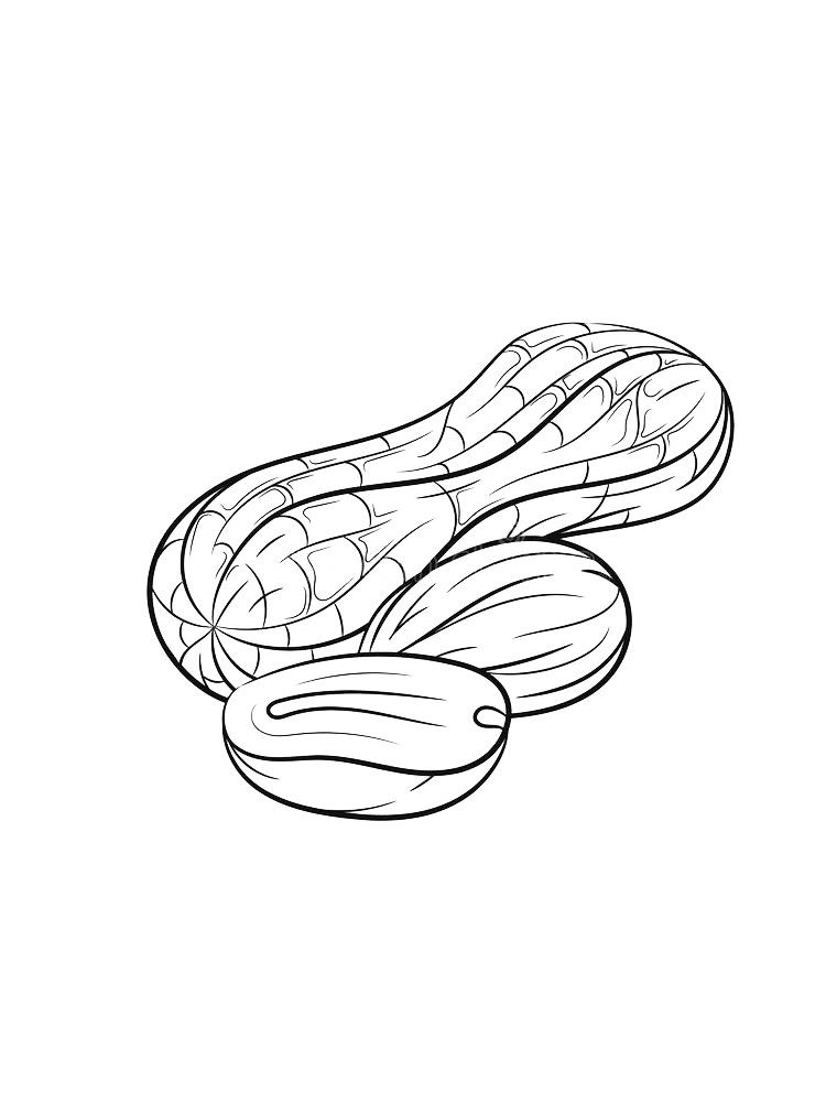 Nuts coloring pages